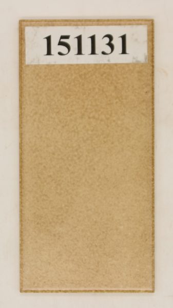 AWS Art.488640 Farbe 0E 10x20cm 9,8×19,8cm hell braun<!---151131--->
