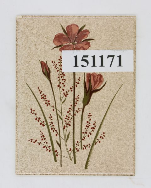 V&B 15x20cm 14,8×19,8cm Art.1315 Frabe K31 Nuance 440 beige braun dekor blume<!---151171--->