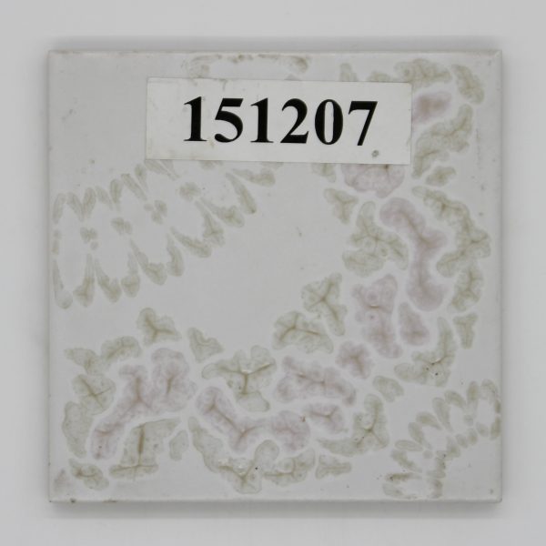 V&B 15x15cm Dekor weiß grün rosa Steinzeug<!---151207--->