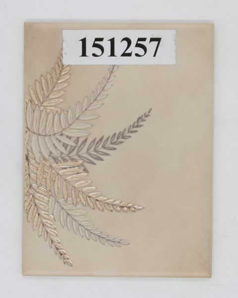 AWS Keramik 15x20cm 14,8×19,8cm Dekor beige braun<!---151257--->