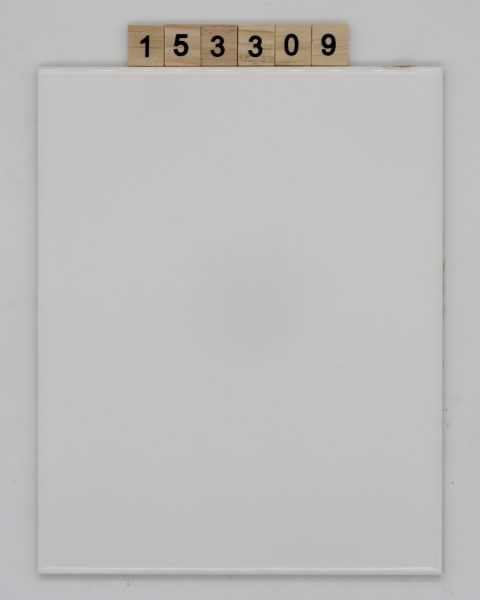 Rako Artikel Waag6000 Nuance DR8 Bila Lesk-weiß glänzend 19,7×24,7cm 20x25cm<!---153309--->