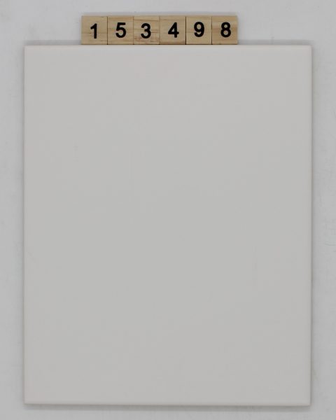 V&B Villeroy und Boch Farbe D955 Nuance 40D weiß matt 19,8×24,8cm 20x25cm<!---153498--->