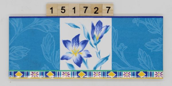 V&B Villeroy und Boch Artikel 1316 Farbe CD67 Nuance 45 Dekor 10×24,8cm 10x25cm<!---151727--->