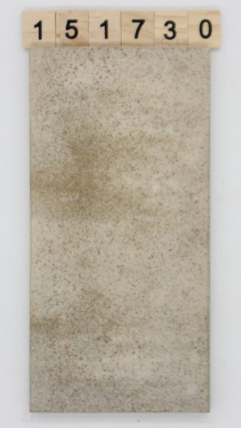 V&B Villeroy und Boch Artikel 3376 Palissy Casa 9,7,×19,7cm 10x20cm<!---151730--->