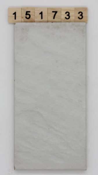 V&B Villeroy und Boch Artikel 3376 Farbe Palissy hellgrau 9,7×19,7cm 10x20cm<!---151733--->