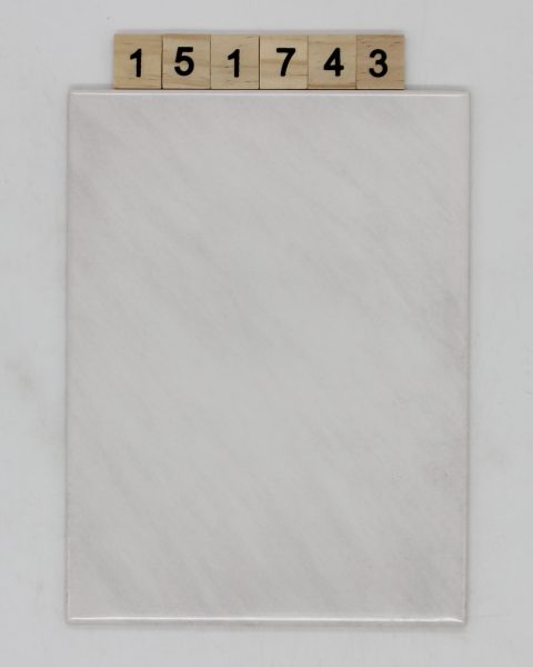 V&B Villeroy und Boch Artikel 1315 Farbe SB80 Nuance 45 weiß 14,9×19,9cm 15x20cm<!---151743--->