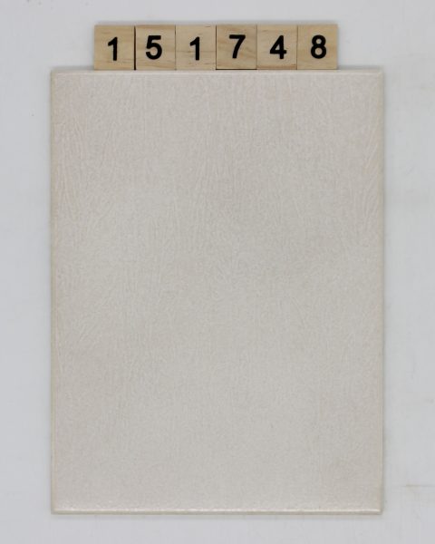 V&B Villeroy und Boch Artikel 1315 Farbe G75 Nuance 25B beige 14,7×19,7cm 15x20cm<!---151748--->