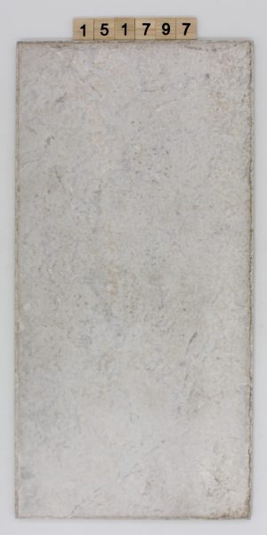 PastorelliCeramiche Artikel Albiccio Farbe A48 Nuance 5 20,1×41,5 20x40cm<!---151797--->