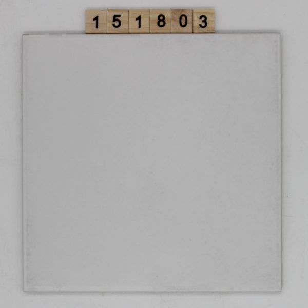 V&B Villeroy und Boch Artikel 3152 Farbe FE60 Nuance 3E weiß 21,7×21,7cm<!---151803--->