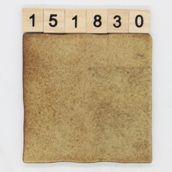 V&B Villeroy und Boch Artikel 3285 Farbe 162 Nuance 50B sand 10,8×10,8cm 10x10cm<!---151830--->