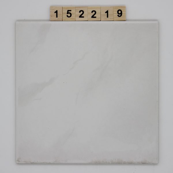 CeramicheLux Artikel KoblenzGrigio Farbe 55 Nuance R weiß marmoriert 20,3×20,3cm 20x20cm<!---152219--->