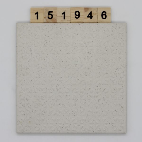 V&B Villeroy und Boch Artikel 2219 Farbe 911H Nuance 52D weiß 14,8×14,8cm 15x15cm<!---151946--->