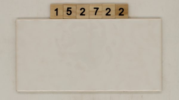 Mosa Farbe weiß glänzend 10,1×20,1cm 10x20cm<!---152722--->