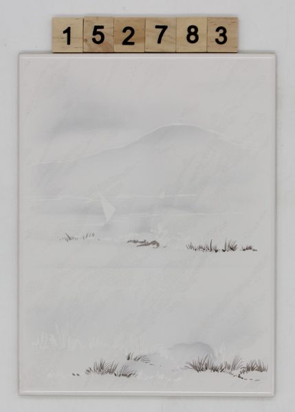 AWS Artikel 2896 Farbe OCO Dekor 14,8×19,8cm 15x20cm<!---152783--->