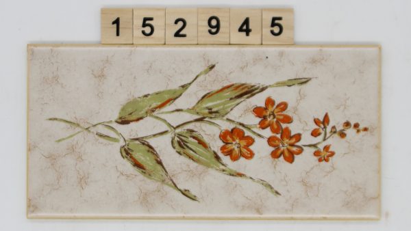 V&B Villeroy und Boch Artikel 1331 Farbe A70 Nuance FH9 Dekor 9,8×19,8cm 10x20cm<!---152945--->