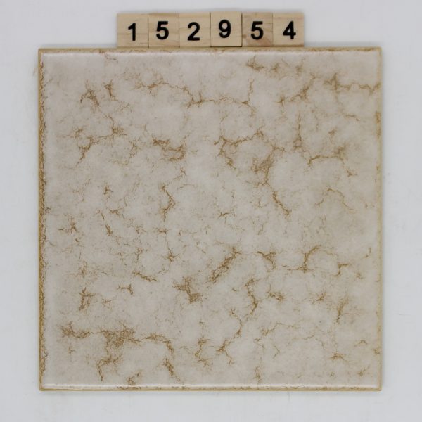 V&B Villeroy und Boch Artikel 1171 Farbe P70 Nuance 17D Dekor 19,6×19,6cm 20x20cm<!---152954--->