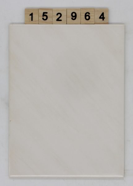 V&B Villeroy und Boch Artikel 1315 Farbe SB80 Nuance 45A weiß marmoriert 14,8×19,8cm 15x20cm<!---152964--->