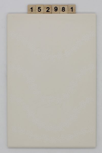 V&B Villeroy und Boch Artikel 1350 Farbe Dekor 19,8×29,8cm 20x30cm<!---152981--->