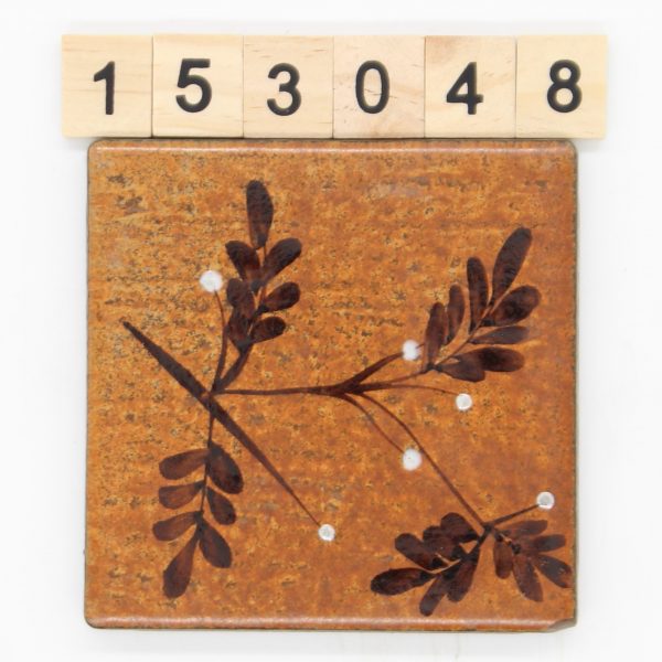 CeramicheSichenia Farbe 410 Nuance BO Dekor 9,7×9,7cm 10x10cm<!---153048--->