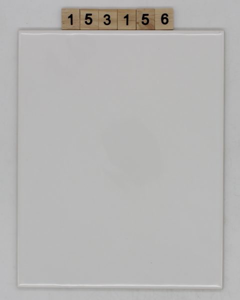 McTile Artikel 2025301K Farbe A2331 Nuance 010 weiß marmoriert 19,6×24,6cm 20x25cm<!---153156--->
