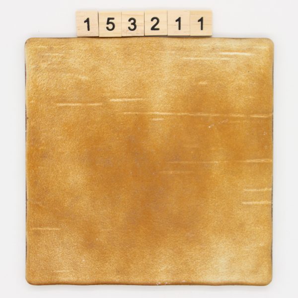 Riviera Farbe terracotta 19,8×19,8cm 20x20cm<!---153211--->