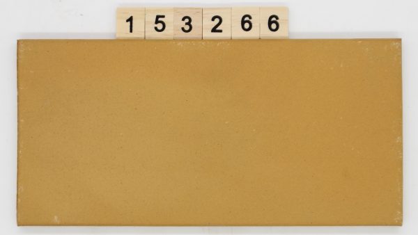 Euramic Artikel 1100 Farbe 313 Herbstfarben 11,6×23,9cm 12x24cm<!---153266--->