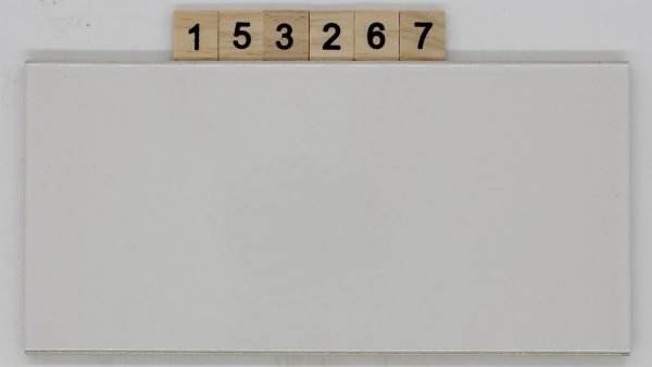 Blink Artikel 1420 Farbe 504 weiß glänzend 11,6×23,9cm 12x24cm<!---153267--->