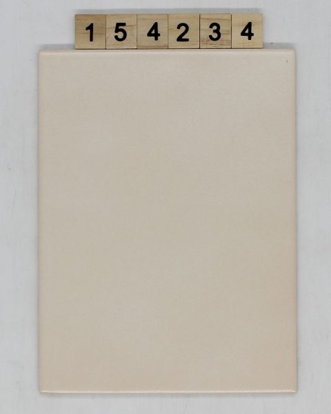 V&B Villeroy und Boch Farbe A55 Nuance 40P beige 14,7×19,7cm 15x20cm<!---154234--->